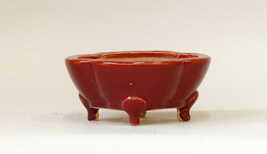 Lotus Shaped Bonsai Pot in Red by Eimei 4.7"(12cm) E404 +++ Shipping Free