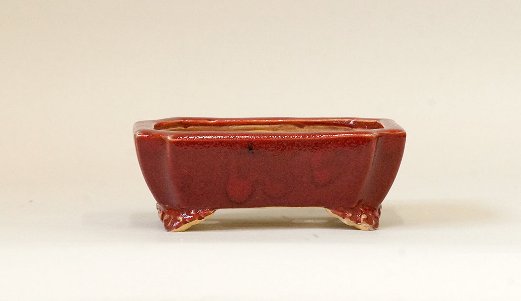 Eimei Red Rectangle Bonsai Pot 4.7"(12cm) E405 +++ Shipping Free