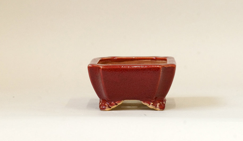 Eimei Red Rectangle Bonsai Pot 4.7"(12cm) E405 +++ Shipping Free