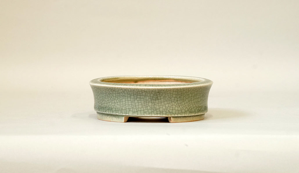 Shallow Round Bonsai Pot in Celadon, 4.3"(11cm) E410 +++Shipping Free