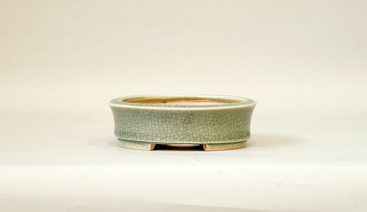 Shallow Round Bonsai Pot in Celadon, 4.3"(11cm) E410 +++Shipping Free