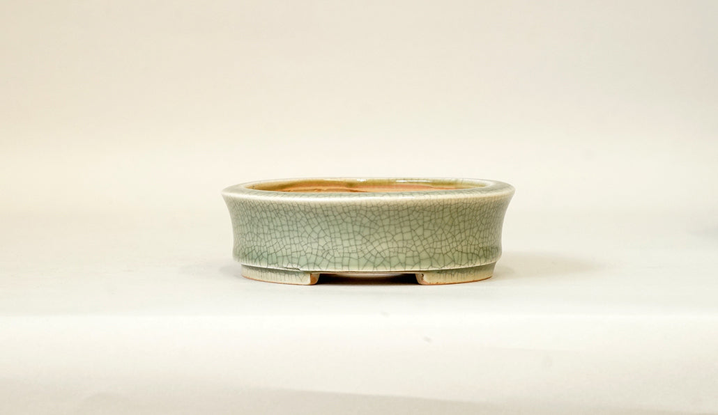 Shallow Round Bonsai Pot in Celadon, 4.3"(11cm) E410 +++Shipping Free