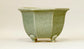 Eimei Octagonal Bonsai Pot in Celadon 6.8"(17.5cm) E415 +++Shipping Free