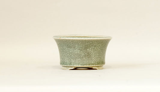 Eimei Round Bonsai Pot in Celadon, 4.3"(11cm) E416 +++Shipping Free