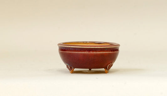 Eimei Shinsya Glazed MIniature Bonsai Pot 2.4"(6.3cm) E527 +++ Shipping Free