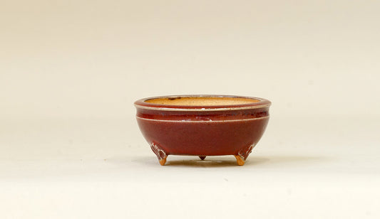 Eimei Shinsya Glazed MIniature Bonsai Pot 2.4"(6.3cm) E527 +++ Shipping Free