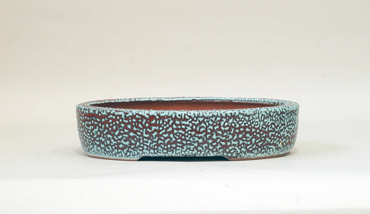 Red & Blue Kairagi Bonsai Pot by Eimei 7.4"(19cm)E537 +++ Shipping Free