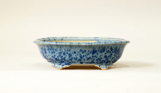 Eimei Oval Bonsai Pot with Rim, Pale Blue Glze 7.2(18.5cm) E546 +++ Shipping Free