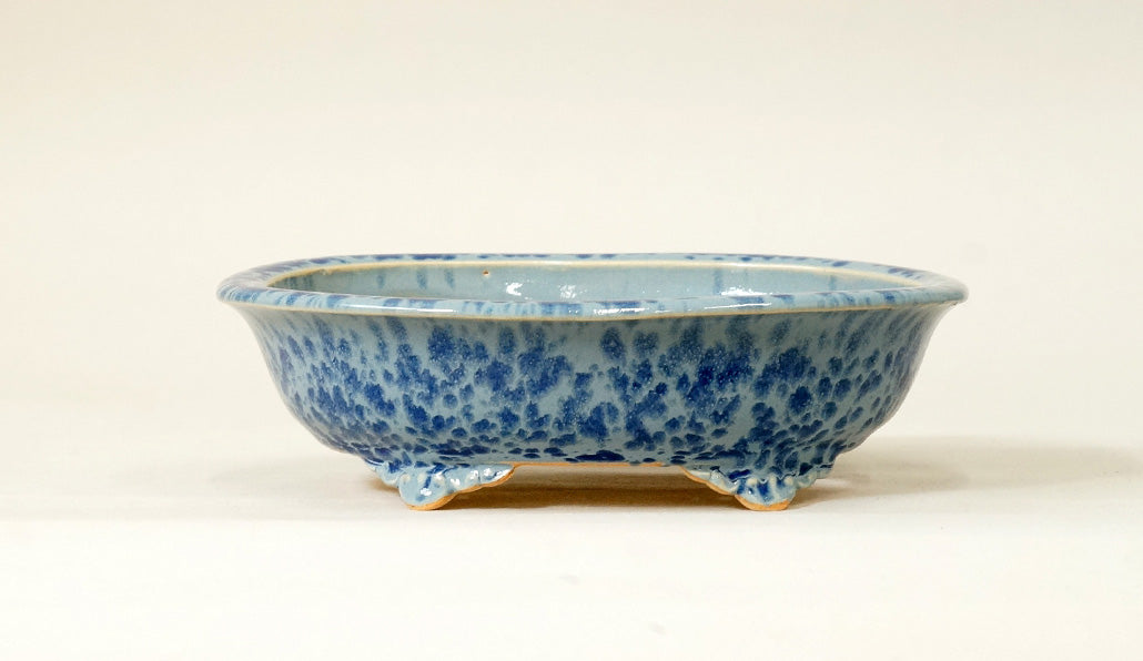 Eimei Oval Bonsai Pot with Rim, Pale Blue Glze 7.2(18.5cm) E546 +++ Shipping Free