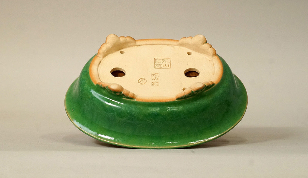 Eimei Oval Bonsai Pot with Rim, Green Glze 7.2(18.4cm) E548 +++ Shipping Free