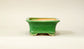 Eimei Rectangle Bonsai Pot in Green glaze 6.6"(17cm) E551 +++ Shipping Free