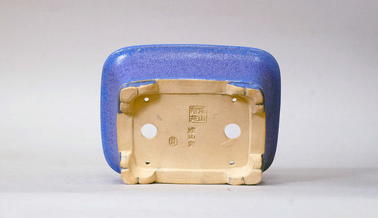 Eimei Rectangle Bonsai Pot in Purple glaze 6.6"(17cm) E553 +++ Shipping Free