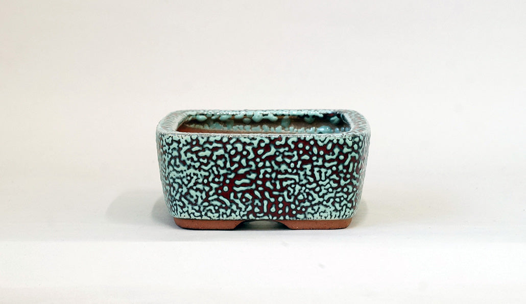 Eimei  Red & Blue Rectangle Kairagi Bonsai Pot 7.4"(19cm) E573 +++ Shipping Free