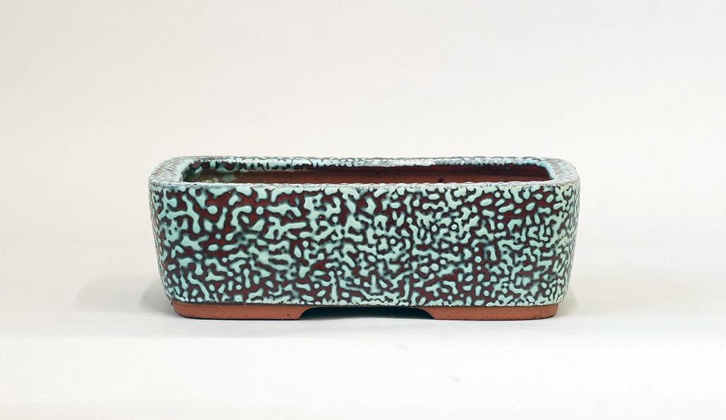Eimei  Red & Blue Rectangle Kairagi Bonsai Pot 7.4"(19cm) E573 +++ Shipping Free