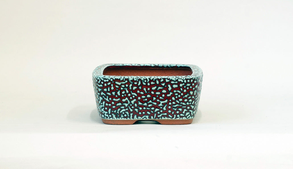 Eimei  Red & Blue Rectangle Kairagi Bonsai Pot 7.4"(19cm) E574 +++ Shipping Free