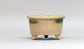 Gold Kintsugi Bonsai Pot by Eimei 3.6"(9.3cm) E577 +++ Shipping Free