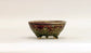 Shinsya Glazed Bonsai Pot with 3 Cat Feet by Yozan 3.7"(9.5cm) E599 +++ Shipping Free