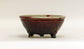 Shinsya Glazed Bonsai Pot with 3 Cat Feet by Yozan 5.9"(13cm) E600 +++ Shipping Free