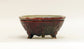 Shinsya Glazed Bonsai Pot with 3 Cat Feet by Yozan 5.9"(13cm) E600 +++ Shipping Free