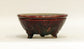 Shinsya Glazed Bonsai Pot with 3 Cat Feet by Yozan 5.9"(13cm) E600 +++ Shipping Free