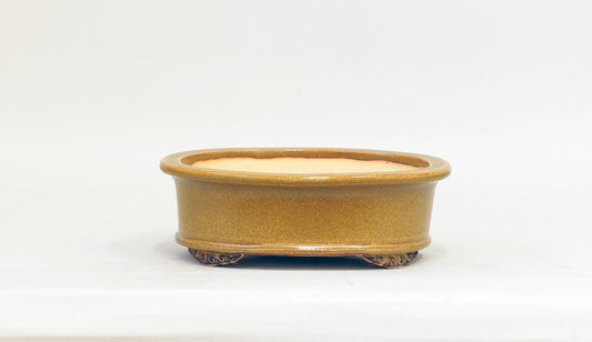 Eimei Soba-Glazed Oval Bonsai Pot with Rim 6.5"(16.5cm) E624