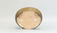 Eimei Soba-Glazed Oval Bonsai Pot with Rim 6.5"(16.5cm) E624
