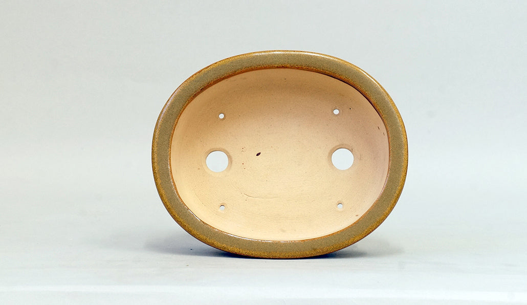 Eimei Soba-Glazed Oval Bonsai Pot with Rim 6.5"(16.5cm) E624