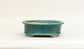 Eimei Blue Oribe Glazed Oval Bonsai Pot with Rim 6.5"(16.5cm) E624