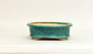 Eimei Blue Oribe Glazed Oval Bonsai Pot with Rim 6.5"(16.5cm) E624
