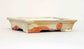 Gassan Rectangle Bonsai Pot with the Red Sun & Mountain 5"(13cm) ++Shipping Free
