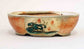 Chidori flying! Gassan Red Painting Bonsai Pot 6.6"(17cm)