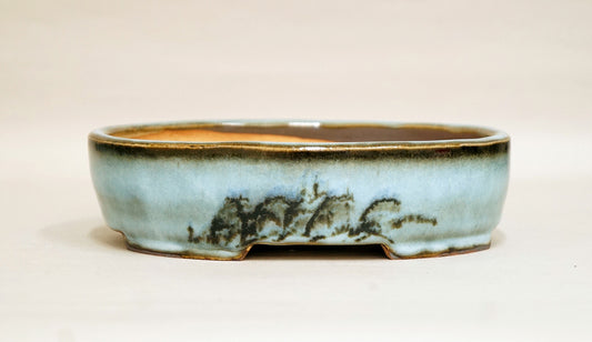 Gassan Oval Bonsai Pot with the Moon 6.6"(16.8cm) G148 +++ Shipping Free