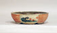 Chidori Flying! Gassan Mokko Shaped Bonsai Pot with the Red Painting 6.4"(16.5cm) G165 +++ Shippinng Free