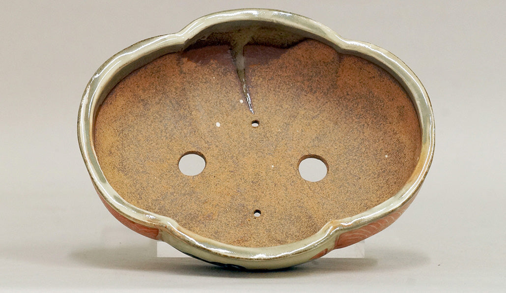 Chidori Flying! Gassan Mokko Shaped Bonsai Pot with the Red Painting 6.4"(16.5cm) G165 +++ Shippinng Free