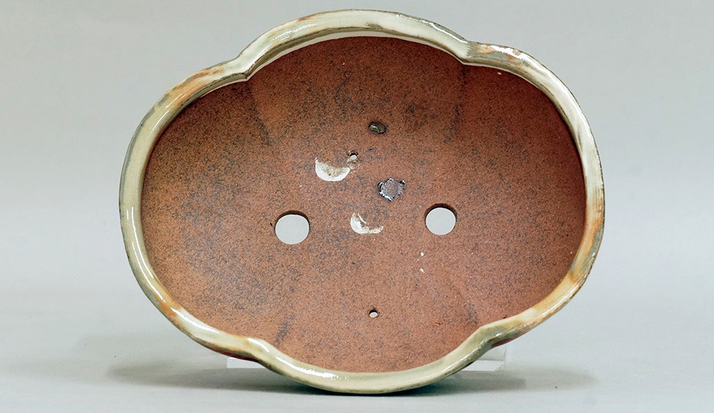 Ship & Waves! Gassan Red Painting Bonsai Pot 6.6"(16.8cm) G166+++ Shipping Free
