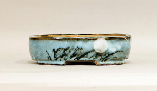 Kintsugi Oval Moon Bonsai Pot by Gassan  6.4"(16.5cm) G170 +++ Shipping Free