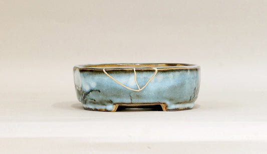 Kintsugi Oval Moon Bonsai Pot by Gassan  6.4"(16.5cm) G170 +++ Shipping Free