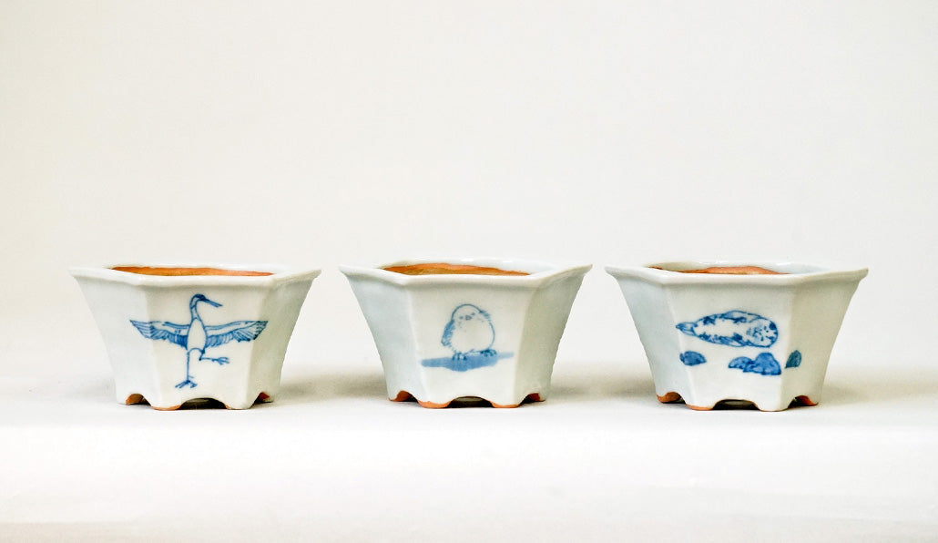 Northern Animal Series – Set of 3 Hand-Painted Bonsai Pots by Gassan 2.76"(7cm) G171 　