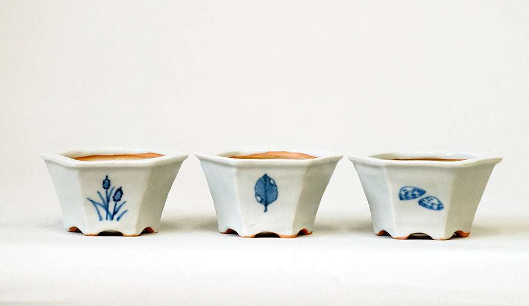 Northern Animal Series – Set of 3 Hand-Painted Bonsai Pots by Gassan 2.76"(7cm) G171 　