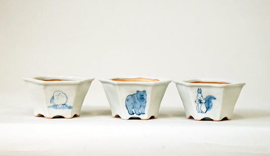 Northern Animal Series – Set of 3 Hand-Painted Bonsai Pots  by Gassan 2.76"(7cm) G172 　