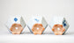 Northern Animal Series – Set of 3 Hand-Painted Bonsai Pots  by Gassan 2.76"(7cm) G172 　