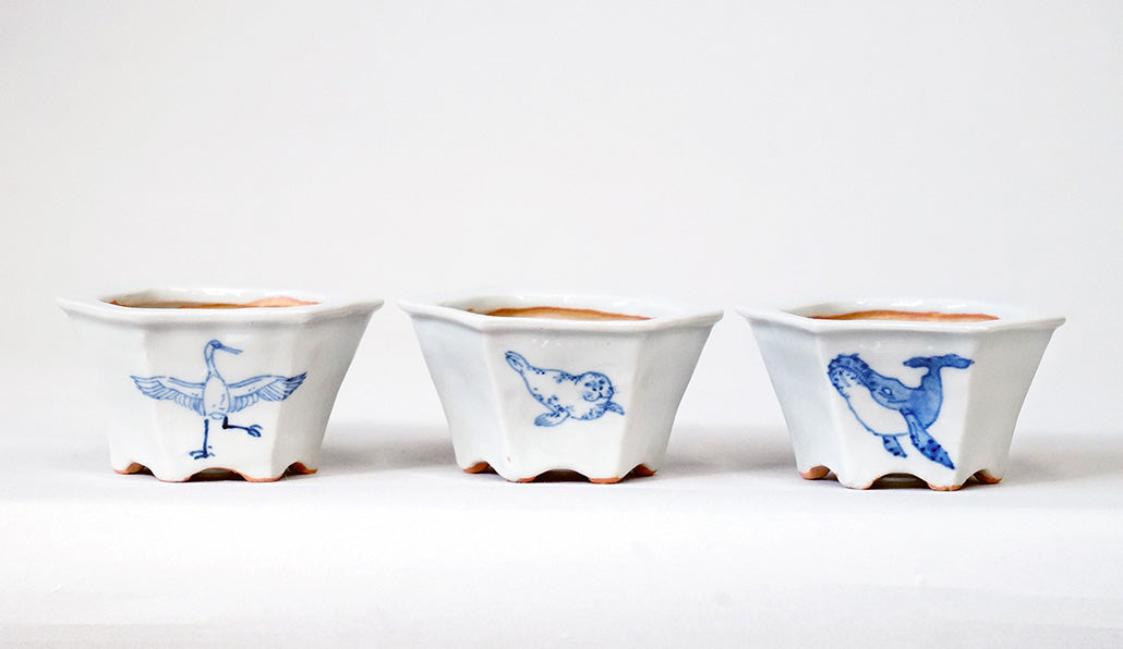 Northern Animal Series – Set of 3 Hand-Painted Bonsai Pots  by Gassan 2.76"(7cm) G173 　