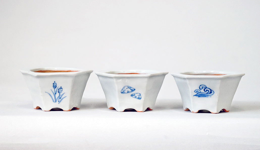 Northern Animal Series – Set of 3 Hand-Painted Bonsai Pots  by Gassan 2.76"(7cm) G173 　
