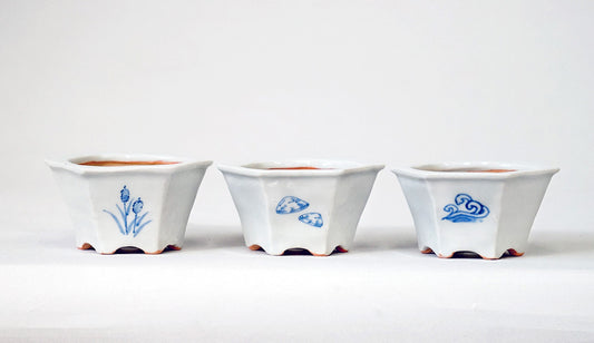Northern Animal Series – Set of 3 Hand-Painted Bonsai Pots  by Gassan 2.76"(7cm) G173 　