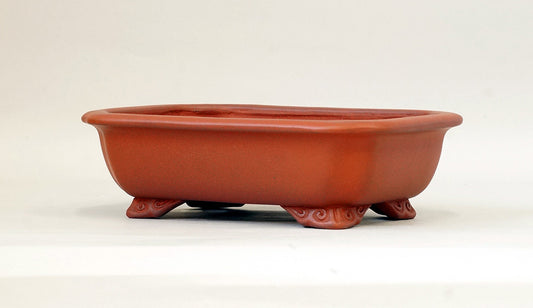 Ikko Unglazed Rectangle Bonsai Pot in Shudei (vermilion clay) 8"(21cm) I031 +++ Shipping Free