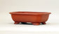 Ikko Unglazed Rectangle Bonsai Pot in Shudei (vermilion clay) 8"(21cm) I031 +++ Shipping Free