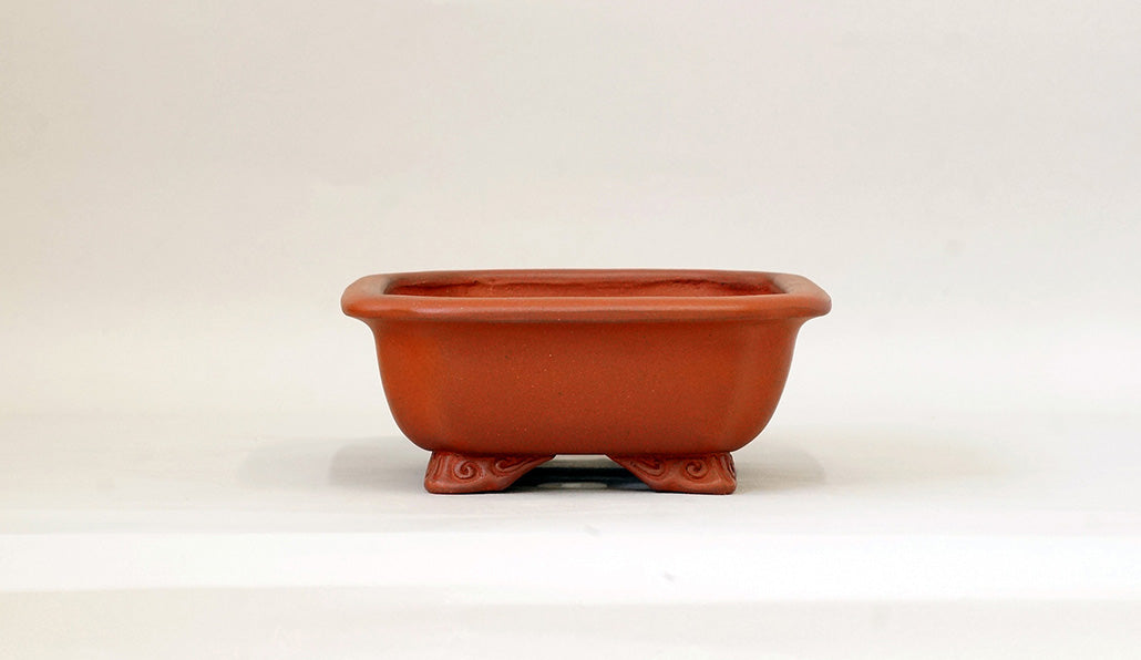 Ikko Unglazed Rectangle Bonsai Pot in Shudei (vermilion clay) 8"(21cm) I031 +++ Shipping Free