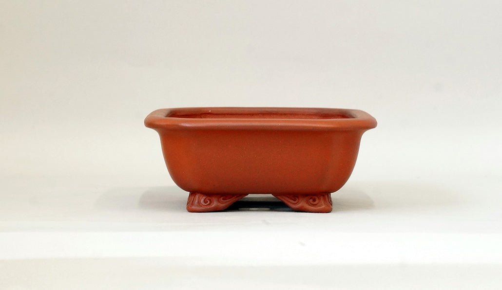 Ikko Unglazed Rectangle Bonsai Pot in Shudei (vermilion clay) 8"(21cm) I031 +++ Shipping Free