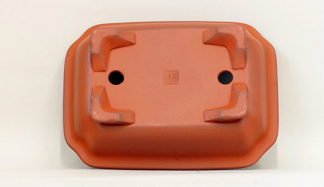 Ikko Unglazed Rectangle Bonsai Pot in Shudei (vermilion clay) 8"(21cm) I031 +++ Shipping Free