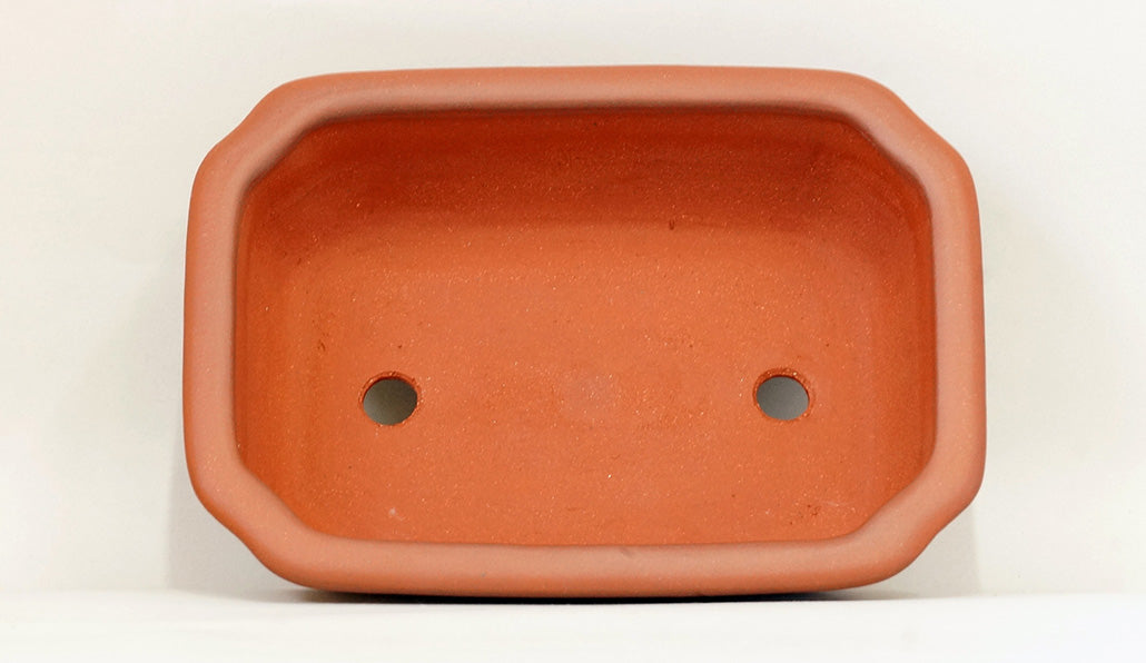 Ikko Unglazed Rectangle Bonsai Pot in Shudei (vermilion clay) 8"(21cm) I031 +++ Shipping Free